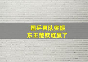 国乒男队樊振东王楚钦谁赢了