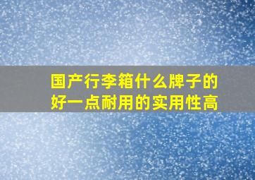 国产行李箱什么牌子的好一点耐用的实用性高