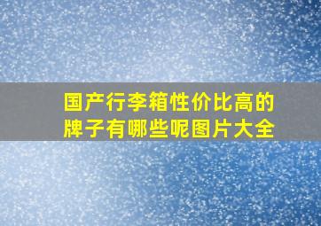 国产行李箱性价比高的牌子有哪些呢图片大全