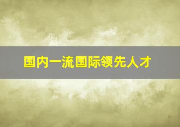 国内一流国际领先人才