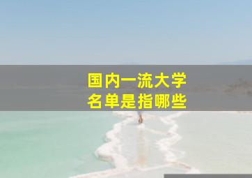 国内一流大学名单是指哪些