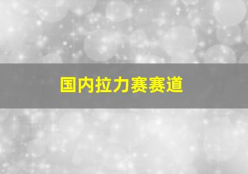 国内拉力赛赛道