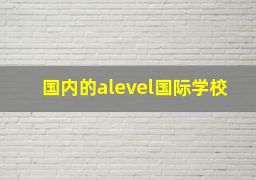 国内的alevel国际学校