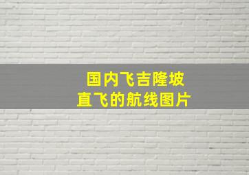 国内飞吉隆坡直飞的航线图片