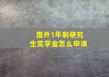 国外1年制研究生奖学金怎么申请