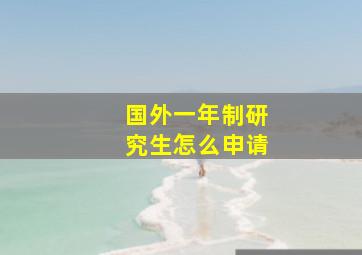 国外一年制研究生怎么申请