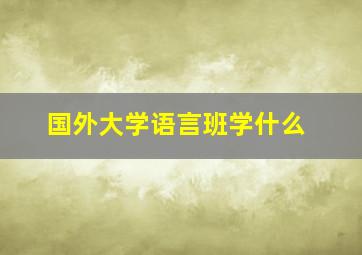 国外大学语言班学什么