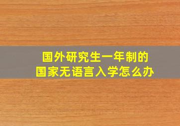 国外研究生一年制的国家无语言入学怎么办