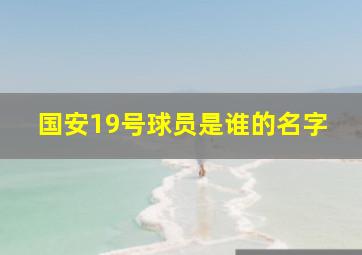 国安19号球员是谁的名字