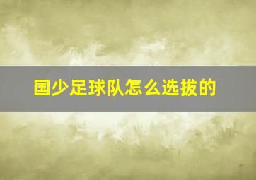 国少足球队怎么选拔的