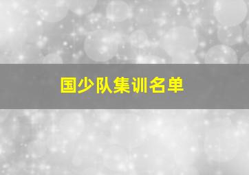 国少队集训名单