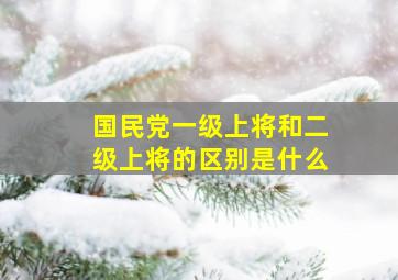 国民党一级上将和二级上将的区别是什么