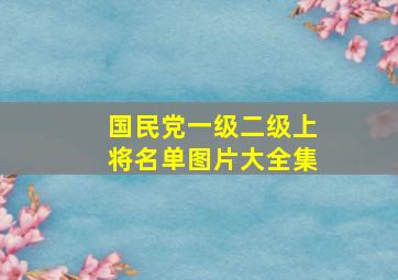 国民党一级二级上将名单图片大全集