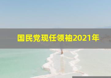 国民党现任领袖2021年