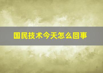 国民技术今天怎么回事