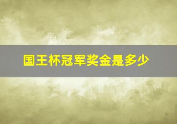 国王杯冠军奖金是多少