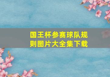 国王杯参赛球队规则图片大全集下载