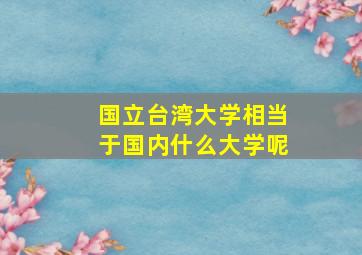 国立台湾大学相当于国内什么大学呢