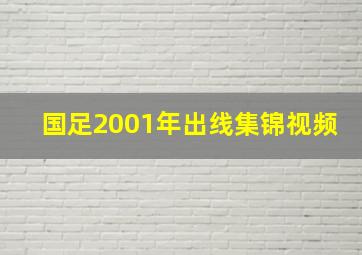 国足2001年出线集锦视频