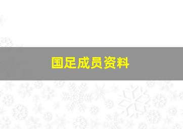 国足成员资料