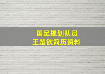 国足规划队员王楚钦简历资料