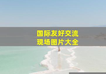 国际友好交流现场图片大全