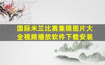 国际米兰比赛集锦图片大全视频播放软件下载安装