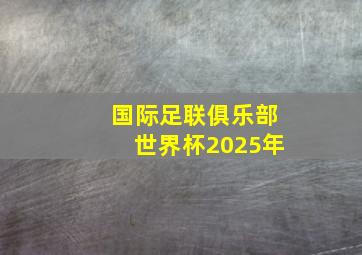 国际足联俱乐部世界杯2025年