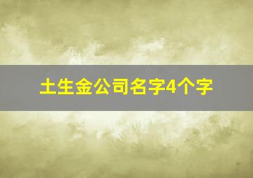 土生金公司名字4个字