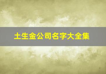 土生金公司名字大全集