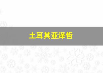 土耳其亚泽哲