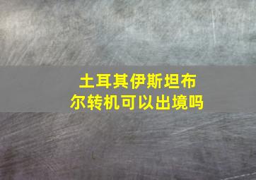 土耳其伊斯坦布尔转机可以出境吗