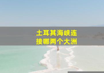 土耳其海峡连接哪两个大洲