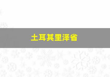 土耳其里泽省