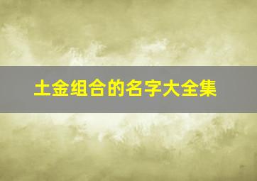 土金组合的名字大全集