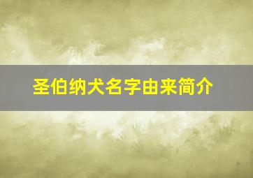 圣伯纳犬名字由来简介