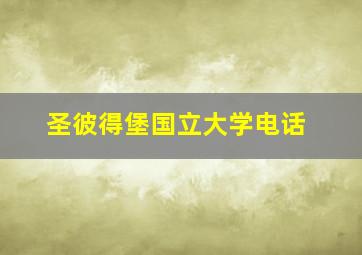 圣彼得堡国立大学电话