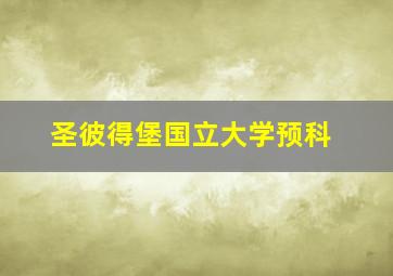 圣彼得堡国立大学预科