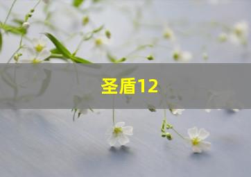 圣盾12