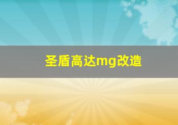 圣盾高达mg改造