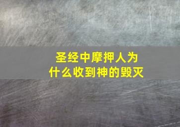 圣经中摩押人为什么收到神的毁灭