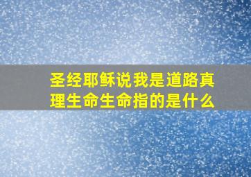 圣经耶稣说我是道路真理生命生命指的是什么