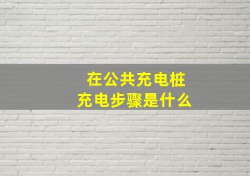 在公共充电桩充电步骤是什么