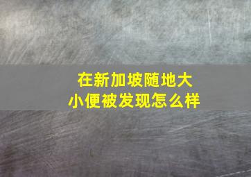 在新加坡随地大小便被发现怎么样