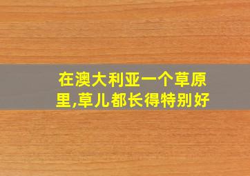 在澳大利亚一个草原里,草儿都长得特别好