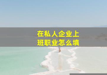 在私人企业上班职业怎么填