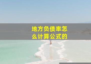 地方负债率怎么计算公式的