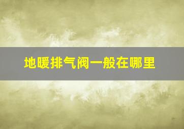 地暖排气阀一般在哪里