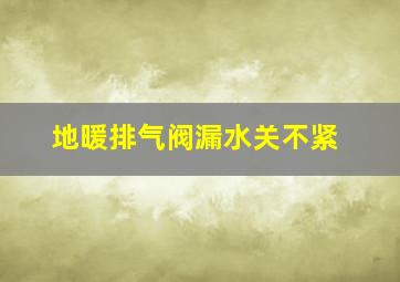 地暖排气阀漏水关不紧