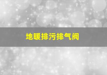 地暖排污排气阀